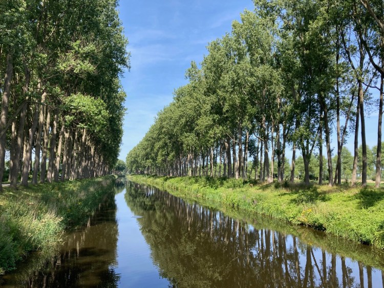 Schikpdonkkanaal: de stinker